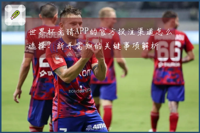 世界杯竞猜APP的官方投注渠道怎么选择？新手需知的关键事项解析